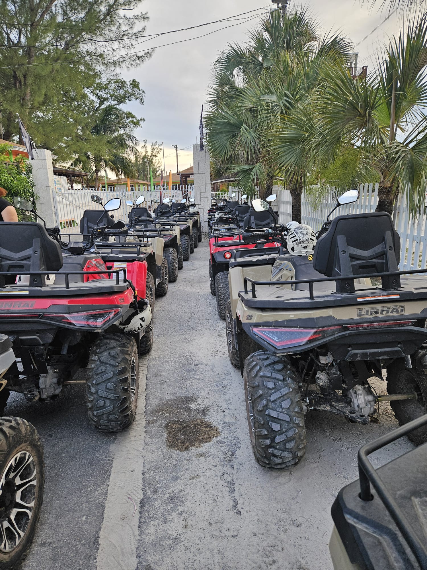 Grand Bahama beach
